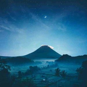 Meet your Posher, Antonio